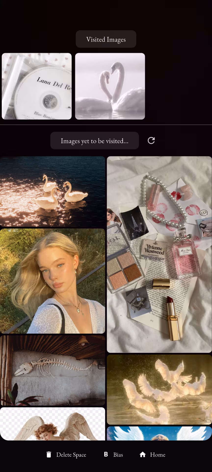 TWBA screenshot showing a swan and beauty image collection.